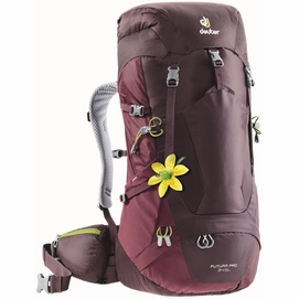 Backpack deuter Futura Pro 34 SL Aubergine Maron Damen