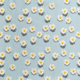 DaisyDawn_3000px_sample_1280x1280@2x