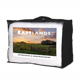 Eastlands tas met inlegvel 3_zwart