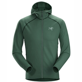 Gilet Arc'teryx Men Adahy Hoody Cypress