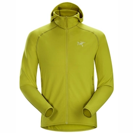 Fleece Arc'teryx Men Adahy Hoody Everglade