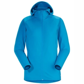 Jacke Arc'teryx Adahy Hoody Baja Damen