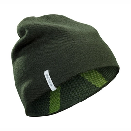 Bonnet Arc'teryx Crest Toque Shorepine Titanite Vert Sapin