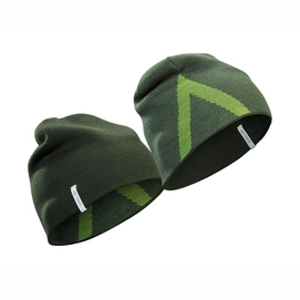 Muts Arc'teryx Crest Toque Shorepine Titanite