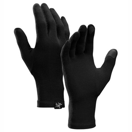 Handschoenen Arc'teryx Gothic Glove Black