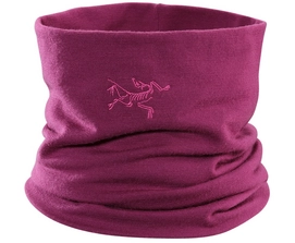 Neck Warmer Arc'teryx Rho LTW Neck Gaiter LT Chandra