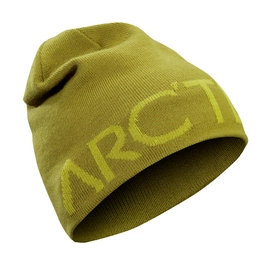 Bonnet Arc'teryx Word Head Long Toque Olive Amber Everglade