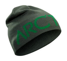Bonnet Arc'teryx Word Head Toque Conifer Canyon