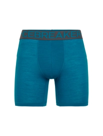 Boxershort Icebreaker Mens Anatomica Zone Long Boxers Alpine Monsoon