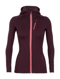 Jacke Icebreaker Quantum LS Zip Hood Velvet Prism Damen