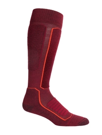 Skisocken Icebreaker Ski+ Medium OTC Cabernet Jet Heather Herren