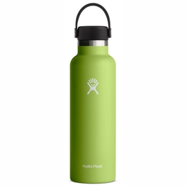 Bouteille Isotherme Hydro Flask Standard Mouth Flex Cap Seagrass 621 ml