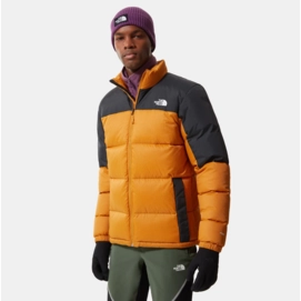 north face mens diablo down jacket