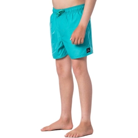 Zwembroek Rip Curl Boys Classic Volley Green