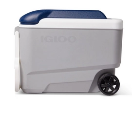 Kühlbox Igloo Maxcold 40 Roller Grau