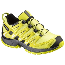 Trailrunning Schoen Salomon XA Pro 3D Climashield J Corona Yellow Alpha