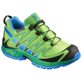 Trailrunning Schoen Salomon XA Pro 3D Climashield K Tonic Green Union