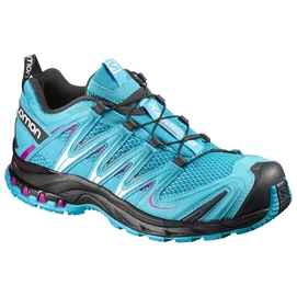 Trailrunning Schoen Salomon XA Pro 3D W Blue Jay Black Deep Dalhi