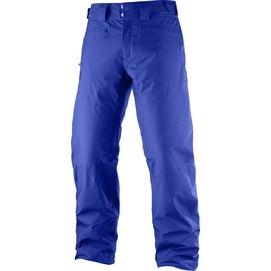 Ski Broek Salomon Fantasy Pant Surf The Web Heather Herren