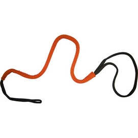 Leash_02