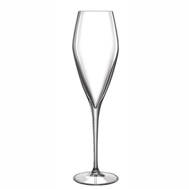 Champagne Glass Luigi Bormioli Atelier 270 ml (2-Piece)