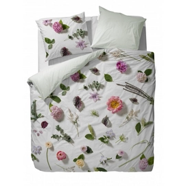 Taies d'oreiller Essenza Mavi Multi Satin (50 x 75 cm)