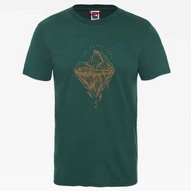 T-Shirt The North Face Mens SS Flash Tee Night Green