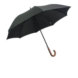Paraplu Pierre Cardin Golf AC
