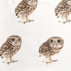 Night-Owl_3000px_sample