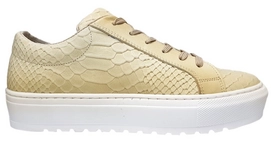 Trainers JJ Footwear Orange Beige G