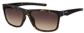 Lunettes de Soleil Polaroid PLD 7014/S Dark Havana / Marron Shaded Polarized