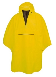 Poncho AGU Grant Geel