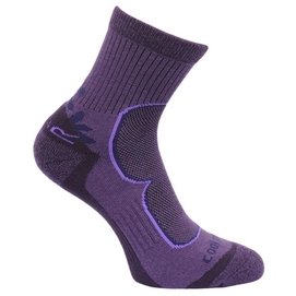 Sokken Regatta Womens Active LS 2Pack Blackberry Vivid Viola
