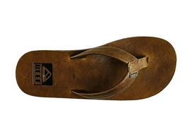 Slipper Reef Ulua Tan Men