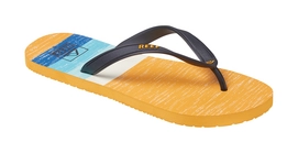 Slipper Reef Switchfoot Prints White Yellow Blue