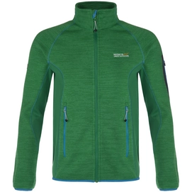 Sweatjacke Regatta Collumbus II Fleece Highland Grün Herren