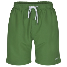 Zwembroek Regatta Mawson Swim Short Alpine Green