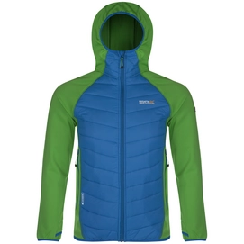 Veste Regatta Andreson II Hybrid Jacket Green Blue
