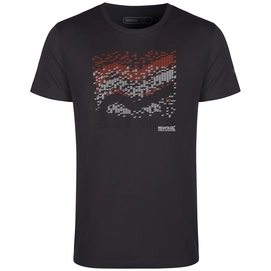 T-Shirt Regatta Fingal Seal Grau Herren