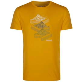 T-Shirt Regatta Fingal Gold Heat