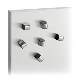 Magneten Blomus Tewo RVS (set van 6)