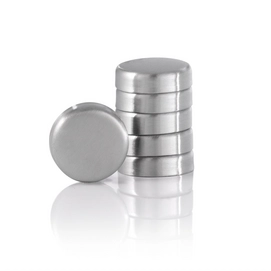 Magneten Blomus Muro RVS Zilver 2,5 cm (set van 6)
