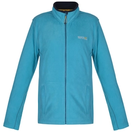 Fleece Jacket Regatta Clemance II Fleece Aqua