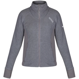 Blouson Regatta Womens Mons Fleece Light Steel