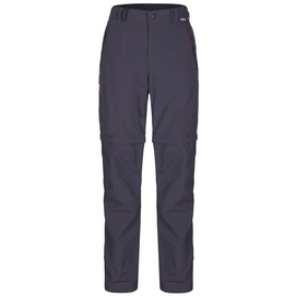 Pantalon Regatta Chaska Zip Off Trousers Grey