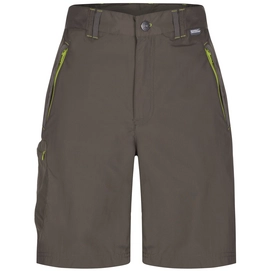 Kurze Hose Regatta Chaska Shorts Tree Top Damen