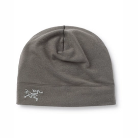 Mütze Arc'teryx Unisex RHO Lightweight Wool Toque Forage - L/XL