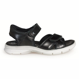 Sandale Panama Jack Sanders B&W C1 Pull-Up Negro Black