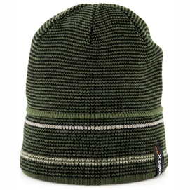 Hat Sinner Casper Beanie Green