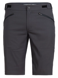 Shorts Icebreaker Persist Monsoon Herren